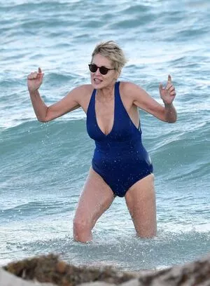 Sharon Stone / 160762733 / search / sharonstone nude photo #0275