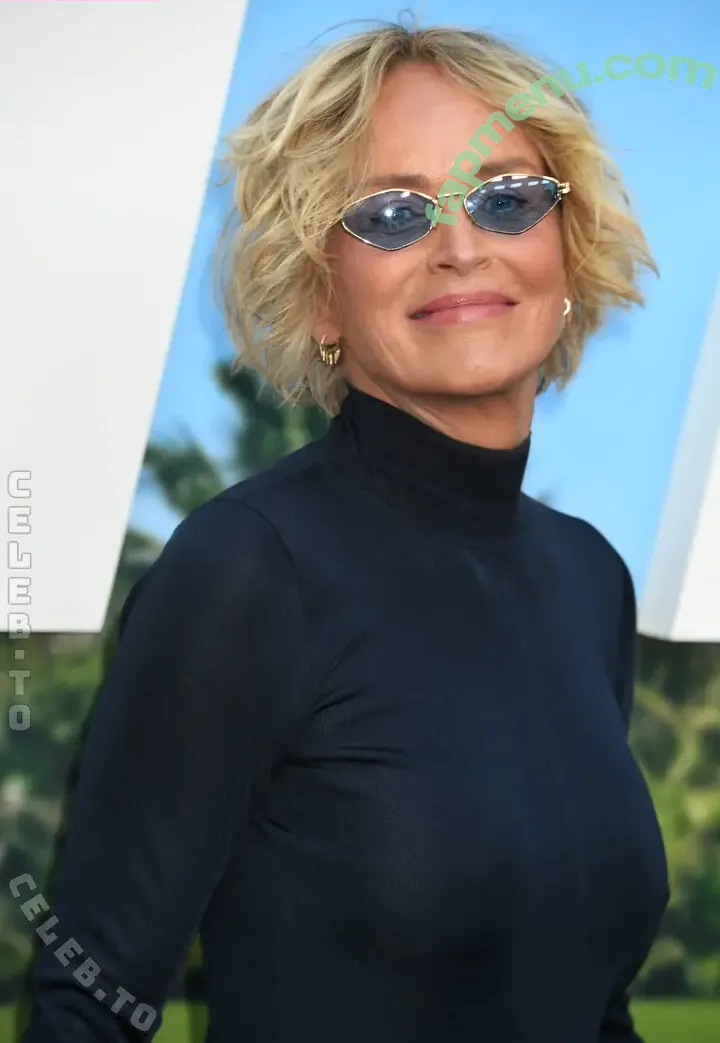 Sharon Stone nude photo #0537 (people / search / sharonstone)