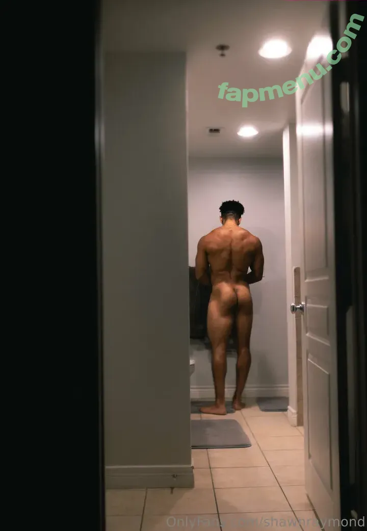 shawnraymond nude photo #0018 (theshawnraymond)
