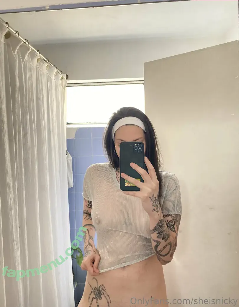 sheisnicky nude photo #0016 (sheisnikki)
