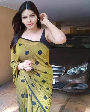 Sherlyn Chopra / SherlynChopra / _sherlynchopra_ / officialsherlynchopra nude photo #0111