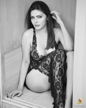 Sherlyn Chopra / SherlynChopra / _sherlynchopra_ / officialsherlynchopra nude photo #0309