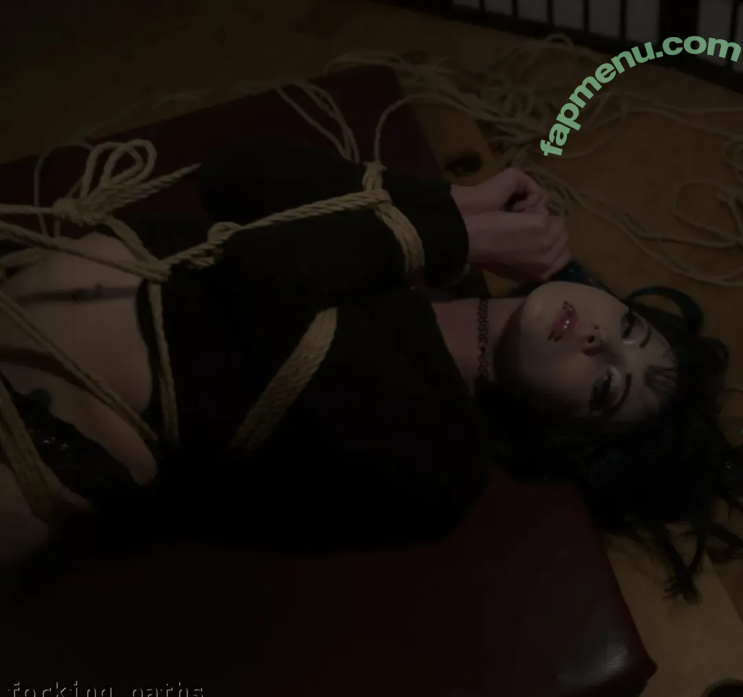 shibari-kitten nude photo #0097 (shibari-kitten)