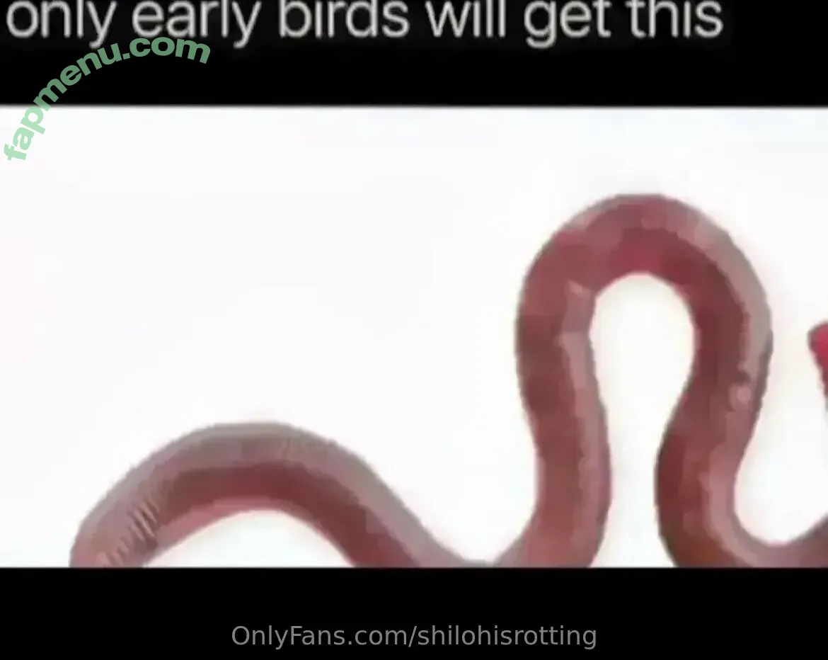 shilohisrotting nude photo #0076 (shilohisrotting)