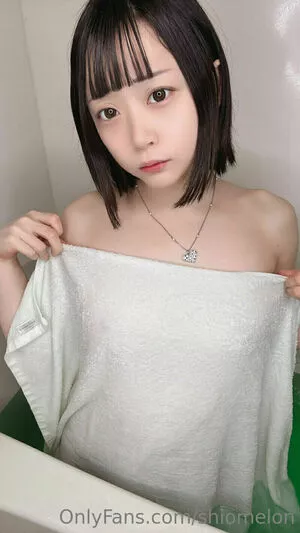 Shiomelon / SioMelonpan / moshimelon nude photo #0345