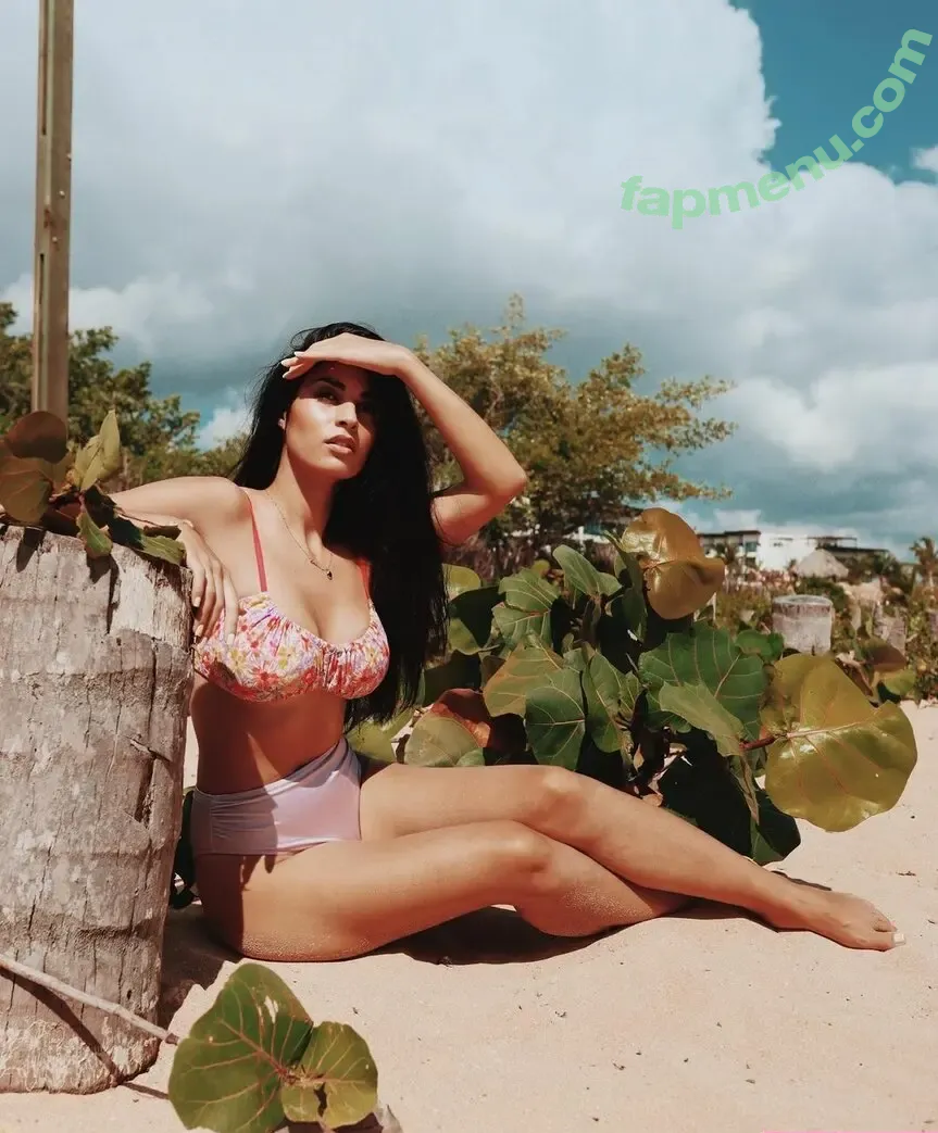 Shirin Azami nude photo #0057 (shirinazamii)