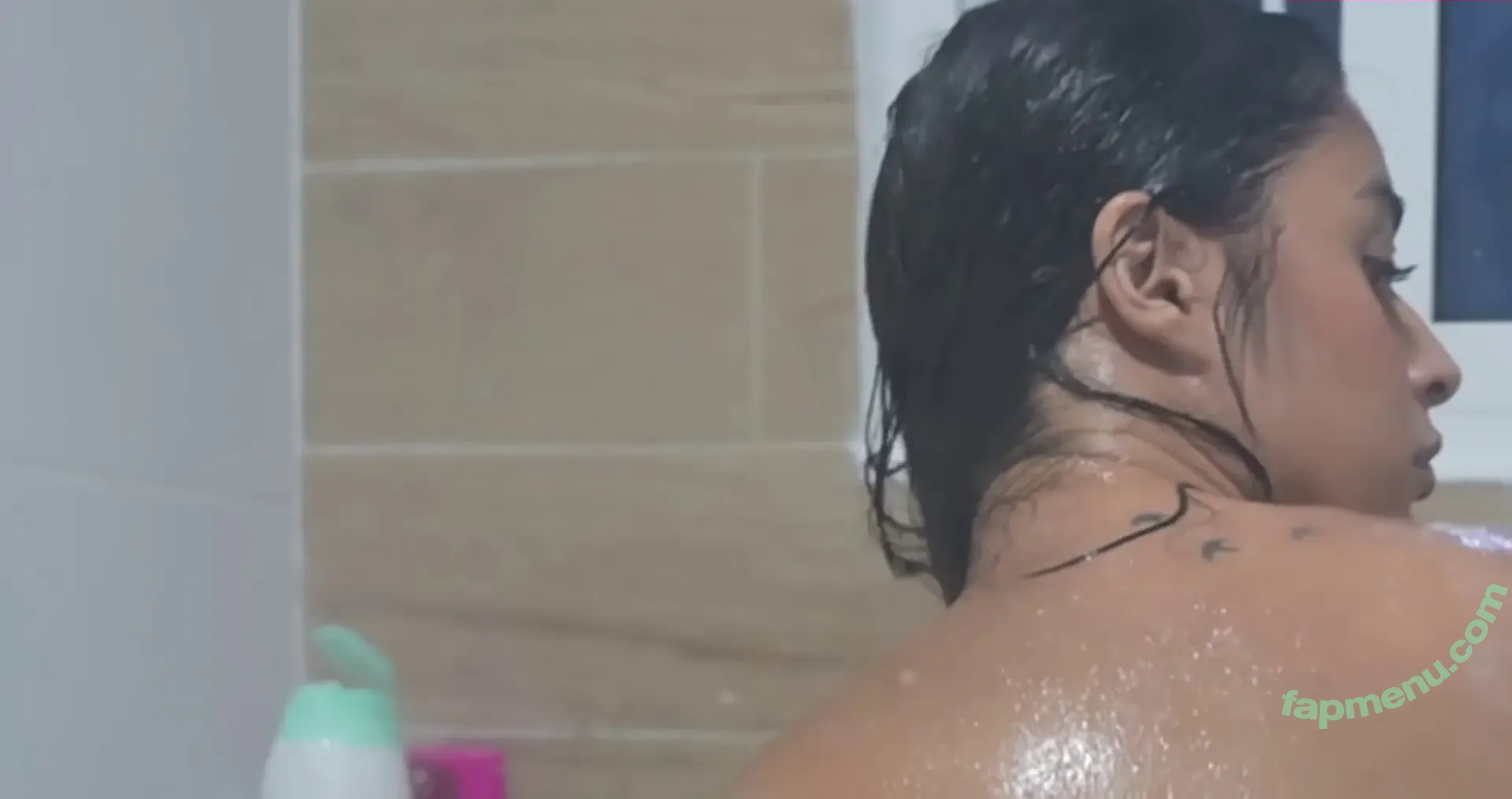 Shirin Azami nude photo #1784 (shirinazamii)