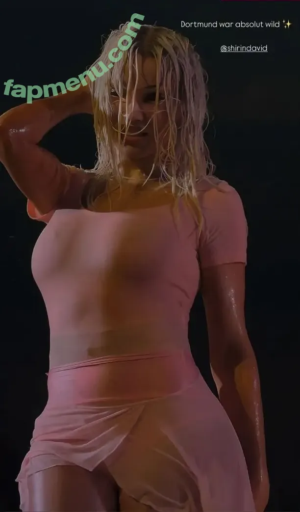 Shirin David nude photo #0804 (shirindavid)