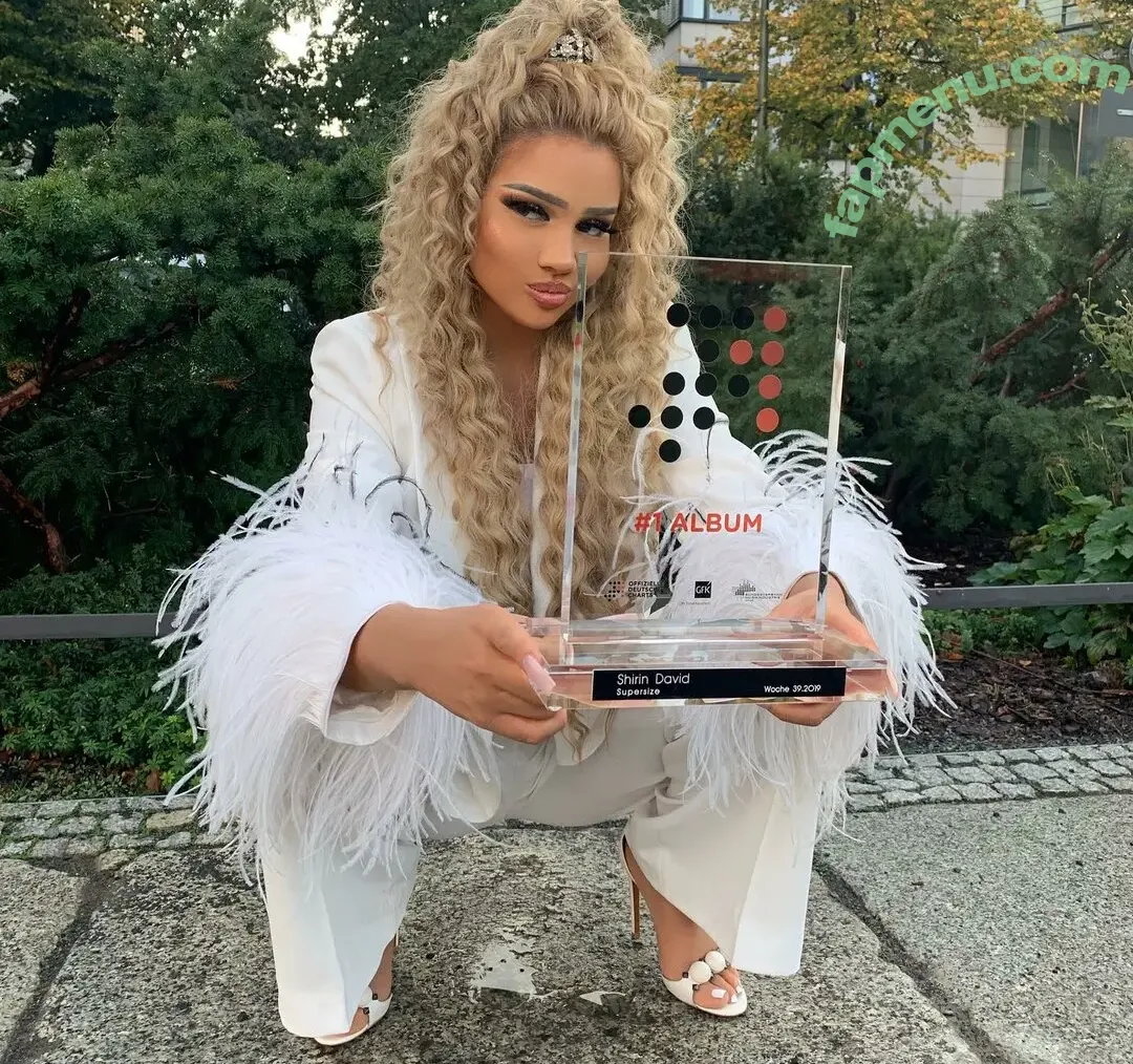 Shirin David nude photo #0895 (ShirinDavid)