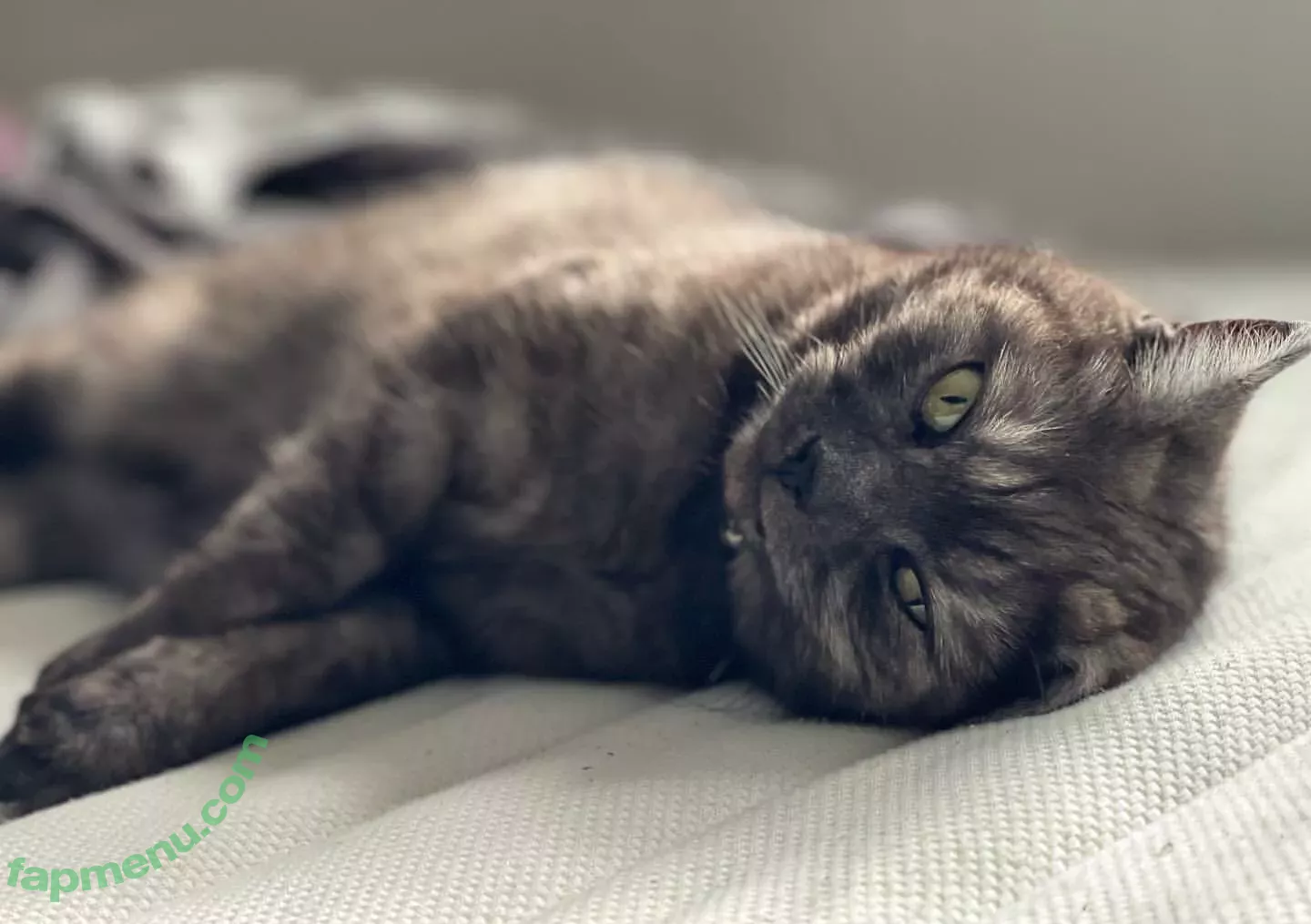 Shona Colson nude photo #0232 (shonacolson)