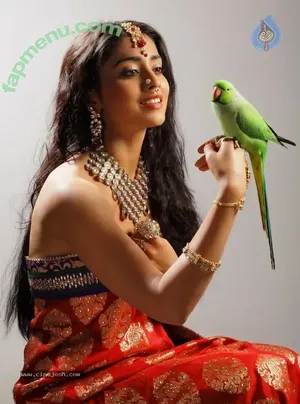 Shriya Saran / shriya_saran1109 nude photo #0028