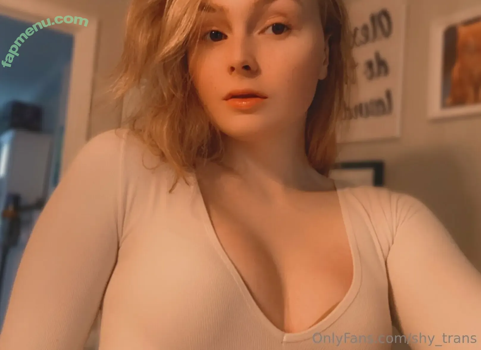 shy_trans nude photo #0029 (sarah320_)