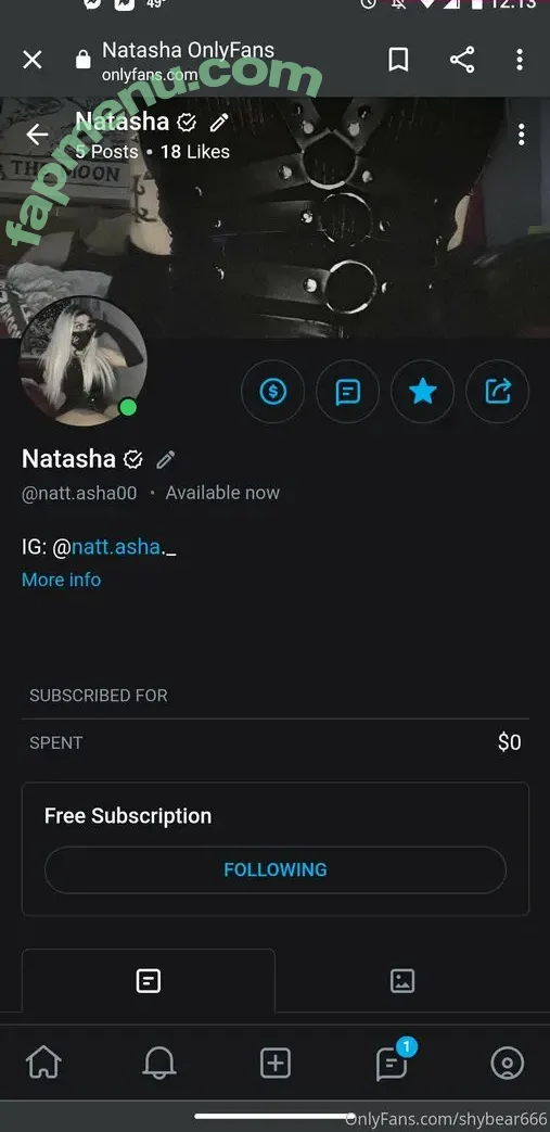 shybear666 nude photo #0004 (shybear666)