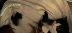 Shylily / VTuber / shylilytwitch nude photo #0045