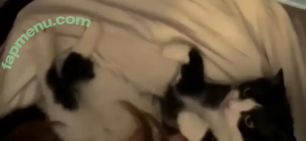 Shylily nude photo #0045 (VTuber / shylilytwitch)