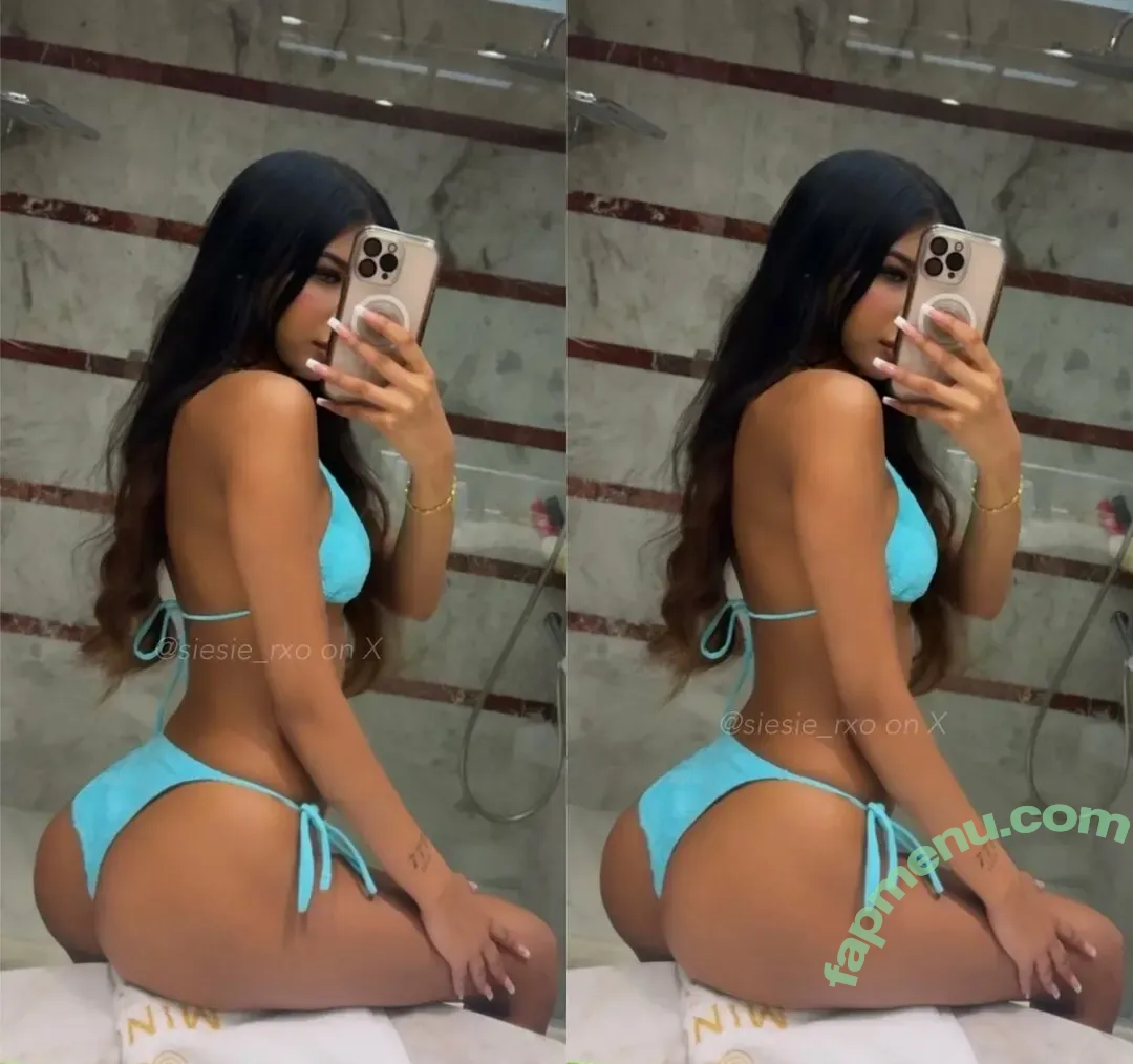 sie.rx nude photo #0016 (siesie_rxo)