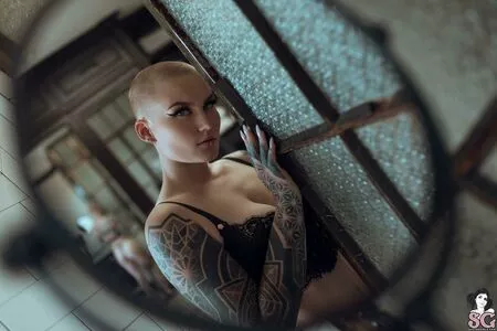 Sierhaus / rio.sierhaus nude photo #0059