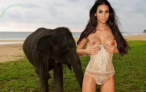 Sila Sahin-Radlinger / diesilasahin nude photo #0028