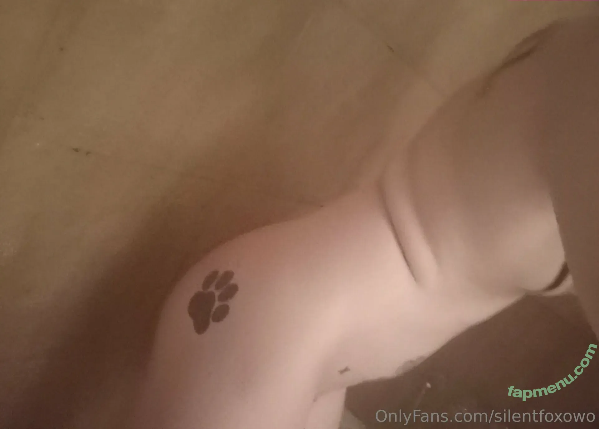 silentfoxowo nude photo #0100 (Fox / silentfox.studio)