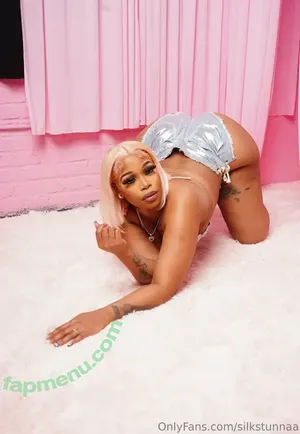 silkstunnaa / silkstunnaaa nude photo #0011