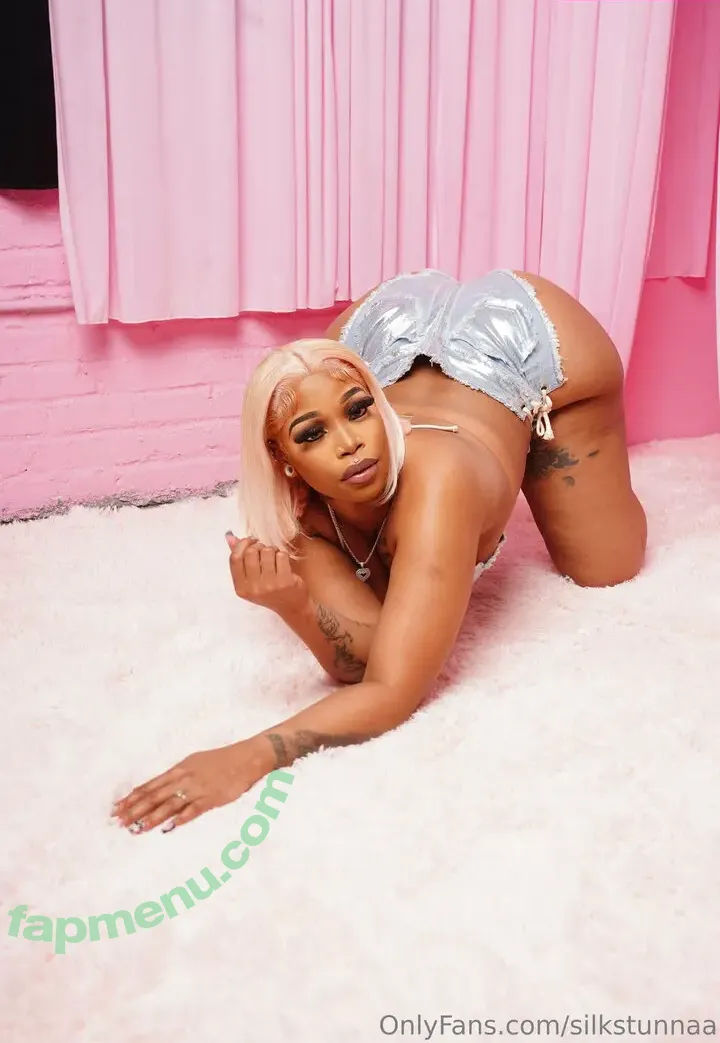 silkstunnaa nude photo #0011 (silkstunnaaa)