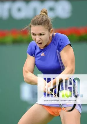 Simona Halep / simonahalep nude photo #0089