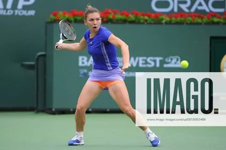 Simona Halep / simonahalep nude photo #0090