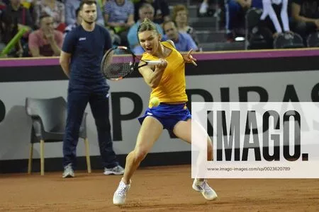 Simona Halep / simonahalep nude photo #0098