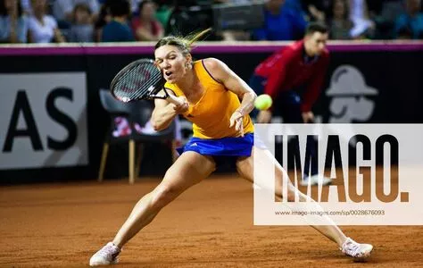 Simona Halep / simonahalep nude photo #0099