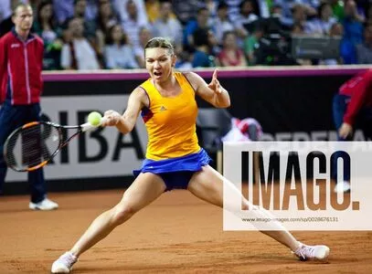 Simona Halep / simonahalep nude photo #0101