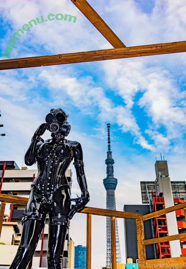 siranegi56 nude photo #0076 (siranegi56)