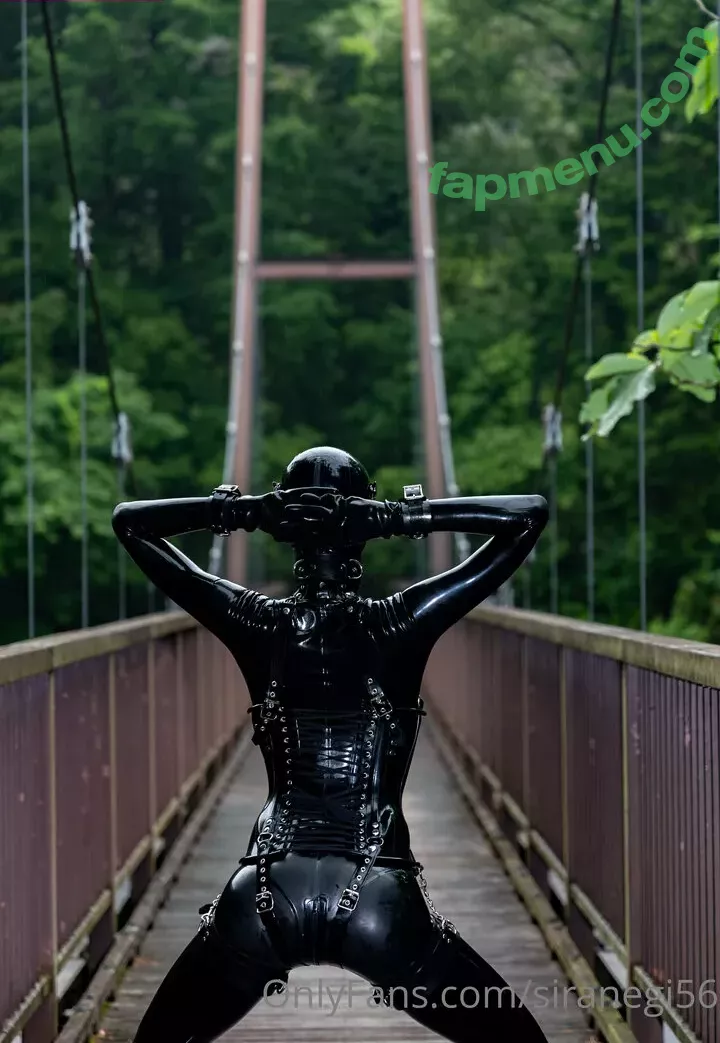 siranegi56 nude photo #0249 (siranegi56)