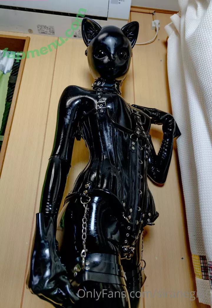 siranegi56 nude photo #0299 (siranegi56)