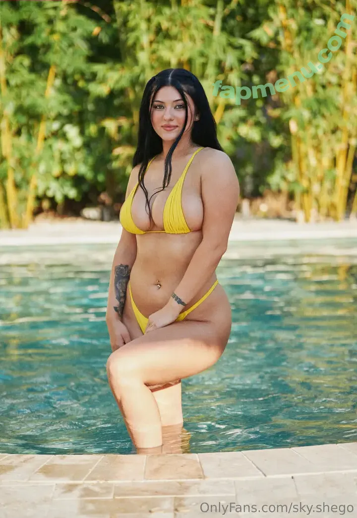 Sky Shego nude photo #0023 (Sky.shego)