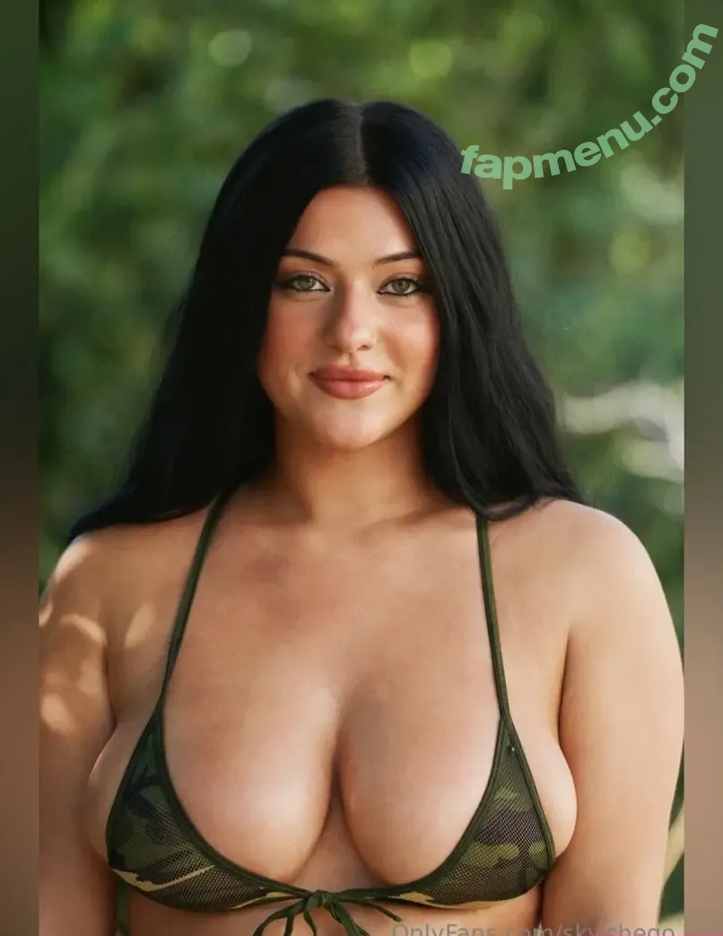 Sky Shego nude photo #0050 (Sky.shego)