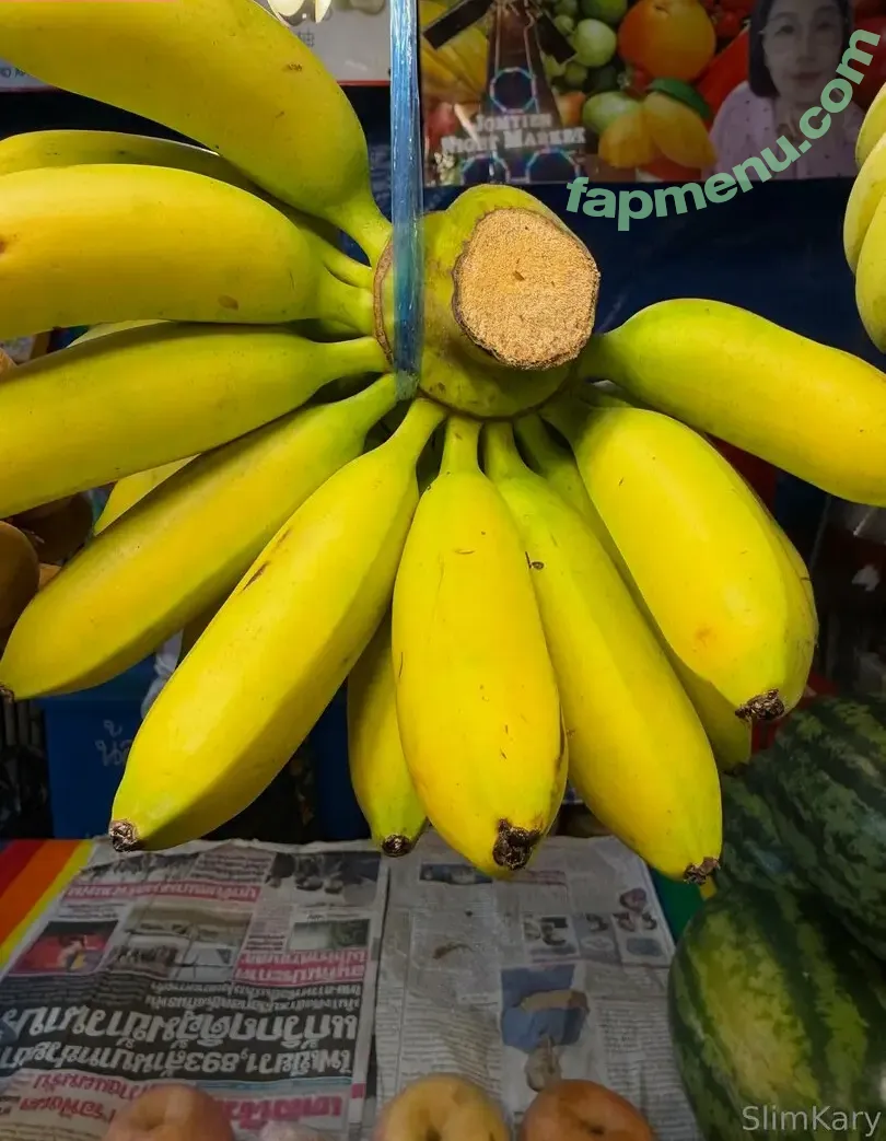 SlimKary nude photo #0174 (reel)