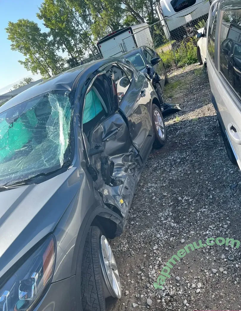 snaakecharmerr nude photo #0240 (riley_w02 / snaeckers)