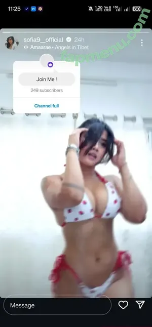 Sofia Ansari / sofia.ansari / sofia9__offcial / sofia9__official nude photo #0511