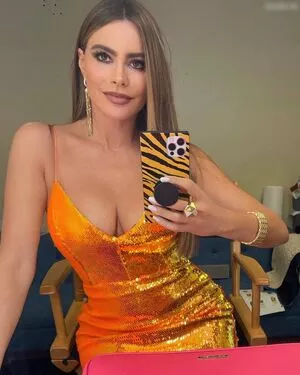 Sofia Vergara / sofiavergara nude photo #1156