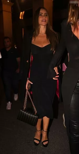 Sofia Vergara / sofiavergara nude photo #1325