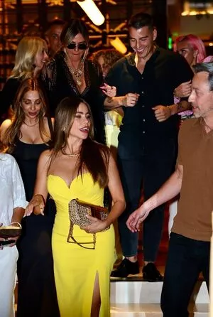 Sofia Vergara / sofiavergara nude photo #1740