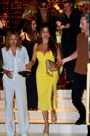 Sofia Vergara / sofiavergara nude photo #1742