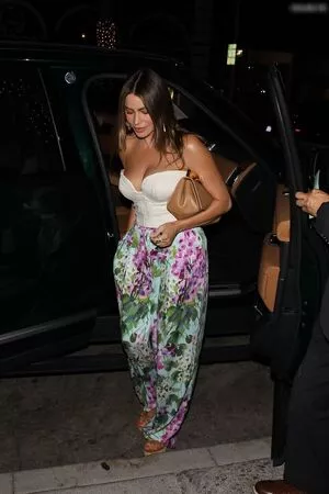 Sofia Vergara / sofiavergara nude photo #1844