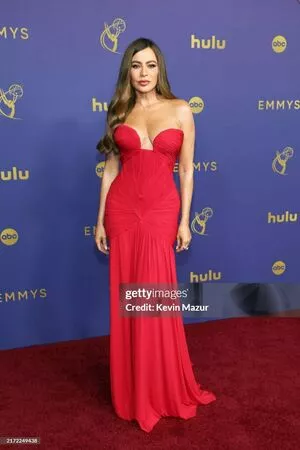 Sofia Vergara / sofiavergara nude photo #1974