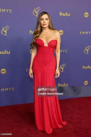 Sofia Vergara / sofiavergara nude photo #1976