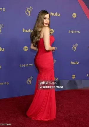 Sofia Vergara / sofiavergara nude photo #1984