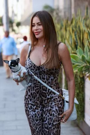 Sofia Vergara / sofiavergara nude photo #1996