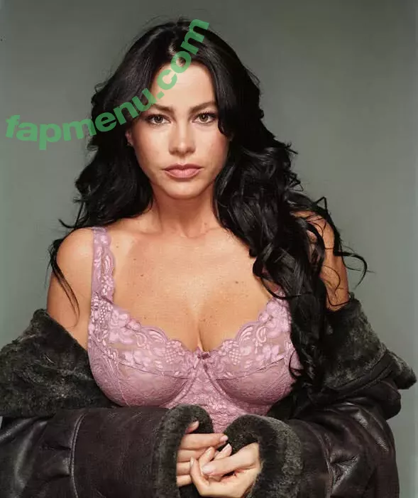 Sofia Vergara nude photo #1063 (sofiavergara / vergarasofia)