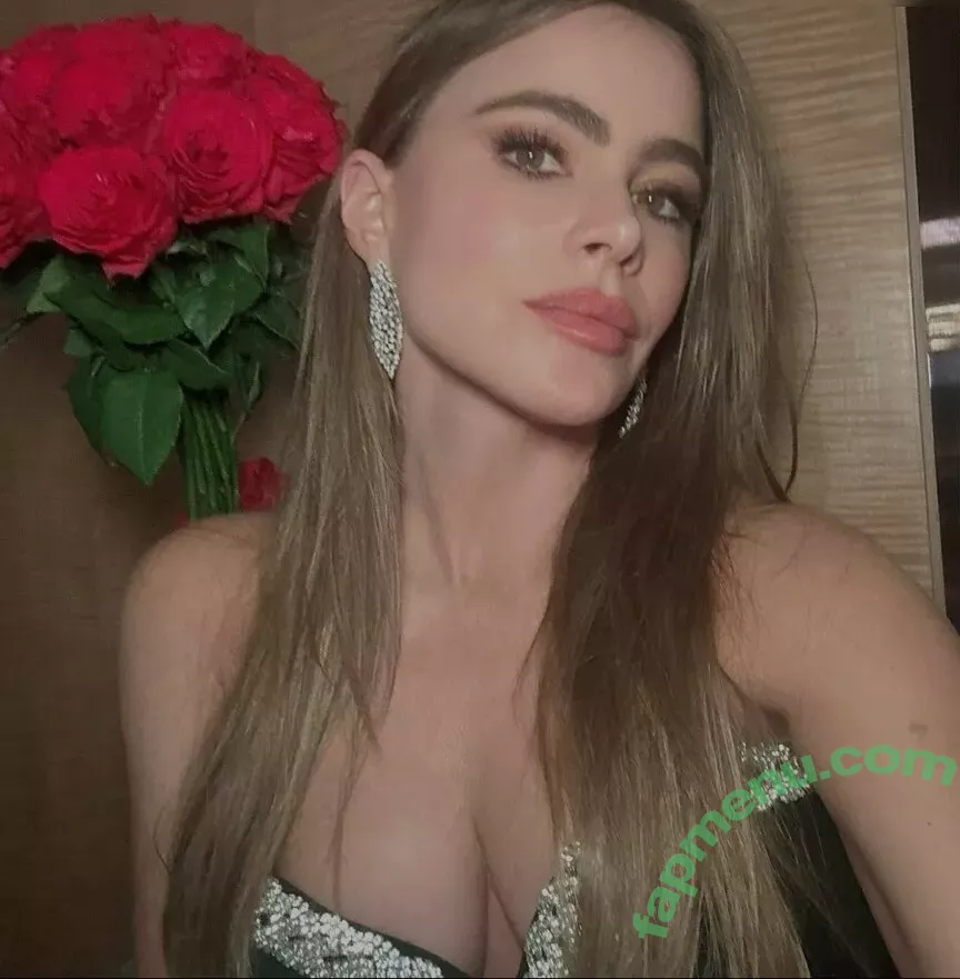 Sofia Vergara nude photo #1189 (sofiavergara)