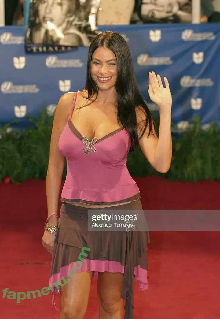 Sofia Vergara nude photo #1248 (sofiavergara)